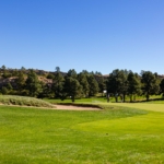 EffectualGolf-167