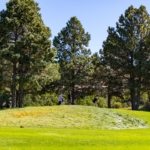EffectualGolf-210